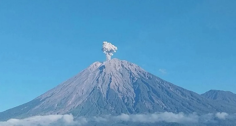 Gunung Semeru yang memiliki ketinggian 3.676 meter di atas permukaan laut (mdpl) mengalami erupsi sebanyak empat kali pada Senin dini hari
