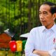 Presiden Jokowi Dipastikan Bakal Ngantor di IKN Mulai 29 Juli 2024