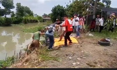 Bikin Geger, Mayat Wanita Ditemukan dengan Tubuh Tinggal Separuh di Brebes