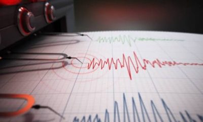 Gempa Guncang Kabupaten Teluk Wondama Papua Barat 25 Oktober 2024