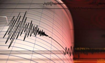 Gempa Guncang Keerom Papua Berkekuatan 6.5 Magnitudo pada 15 November 2024