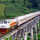 Sekarang Sudah Tersedia Tiket Kereta Bersubsidi, Begini Cara Memperolehnya