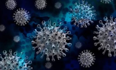 Wah, Direktur Baru CIA Dukung Teori Virus Covid-19 Muncul dari Kebocoran Laboratorium China