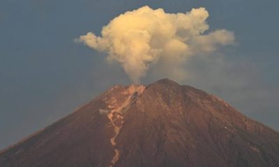 Gunung Semeru Alami Erupsi 55 Kali pada 12 Februari 2025