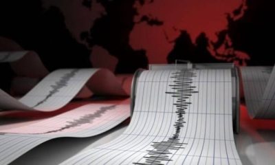 Gempa Bumi Terjadi di Maluku Tenggara Berkekuatan M6 Tapi Tidak Timbulkan Tsunami