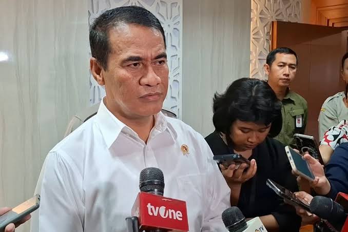 Indonesia Siap Ekspor Beras ke Negara ASEAN, Setelah Malaysia