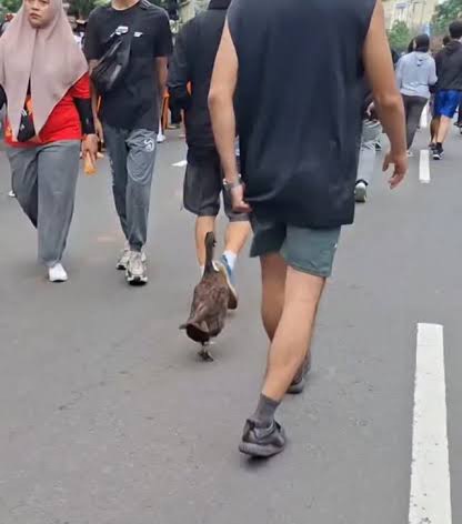 Viral, CFD Pertama di Depok, Ayah Ayu Ting Ting dan Seekor Bebek Jadi Perhatian