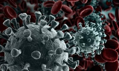 Angka COVID-19 Alami Peningkatan di Sejumlah Negara Asia, Kemenkes Keluarkan Surat Edaran Ini