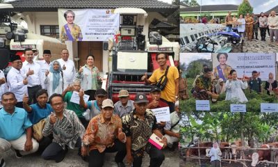 Titiek Soeharto Salurkan Bantuan Alsinta, Panen Cabai dan Serahkan 10 Ekor Sapi Qurban Jumbo