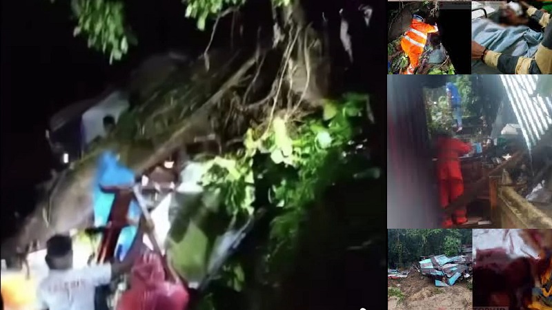 1 Meninggal Tertimpa Pohon, Ambon Dilanda Banjir dan Tanah Longsor Akibat Hujan Lebat Dua Hari