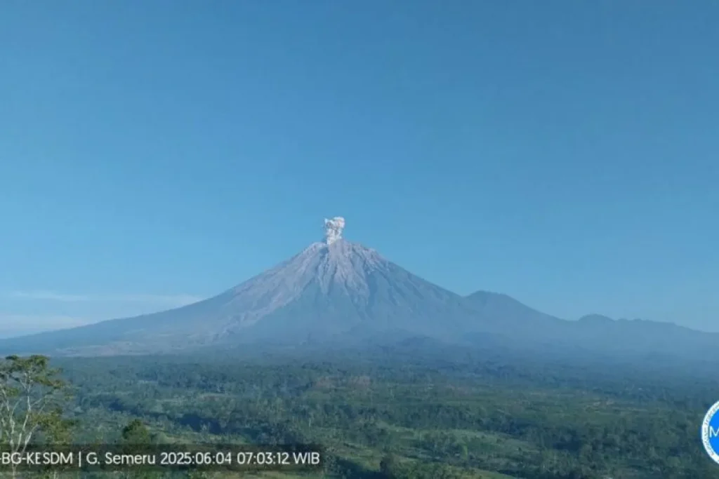 Rabu Pagi Gunung Semeru Erupsi 4 Kali dengan Abu Letusan Tertinggi 800 Meter