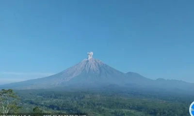 Rabu Pagi Gunung Semeru Erupsi 4 Kali dengan Abu Letusan Tertinggi 800 Meter
