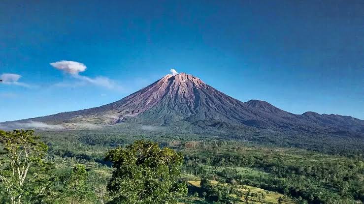 Gunung Semeru Kembali Erupsi, Muntahkan Kolom Abu Tebal Setinggi 600 Meter