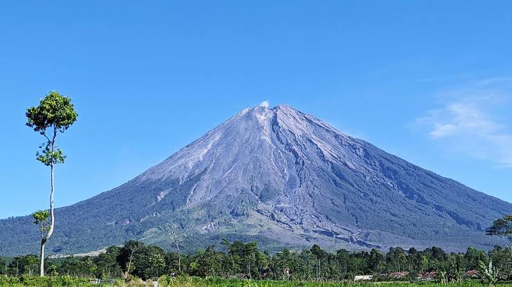 Gunung Semeru Kembali Erupsi, Lontarkan Kolom Abu Hingga 700 Meter