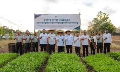 Dari Perbatasan, Imigrasi & Lapas Atambua Jawab Tantangan Pangan Lewat Panen Raya dan Tebar Bibit Lele