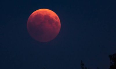 Gerhana Bulan Total 7-8 September 2025, Begini Cara Melihatnya