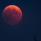 Gerhana Bulan Total 7-8 September 2025, Begini Cara Melihatnya
