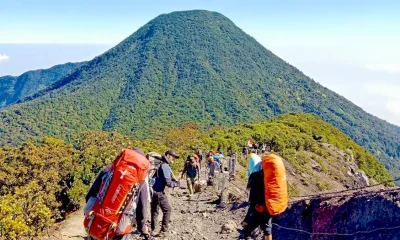 Pendakian Gunung Gede Pangrango Bakal Ditutup Mulai 13 Oktober, Ini Alasannya