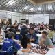 JAPFA Chess Festival ke-15/2025: Tiga Pecatur Bersaing Puncaki Open, WIM Ivana Bertengger Sendiri di Senior Putri