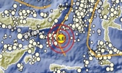 Getaran Gempa M6,0 yang Guncang Bosel Sulut Dirasakan Sampai Gorontalo, Tidak Berpotensi Tsunami