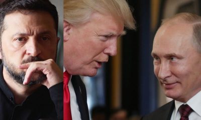 Putin Terima Usulan Amerika untuk Perdamaian dengan Ukraina, Zelensky Hadapi Pilihan Sulit