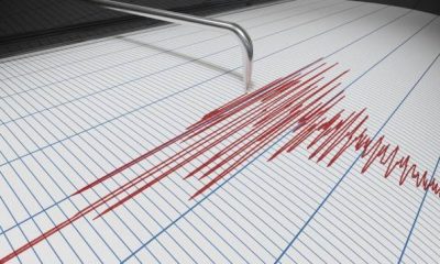 Blitar Diguncang Gempa dengan Kekuatan M 5.0 pada 24 November 2025