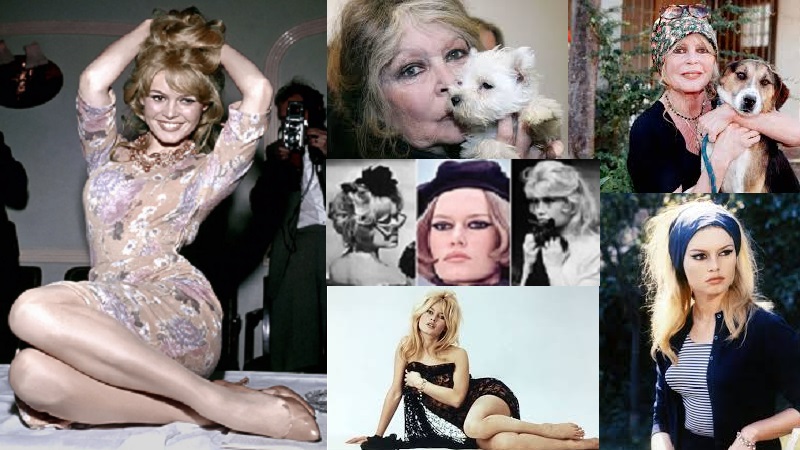 Brigitte Bardot, Artis Simbol Sex Sensual 1960-an yang Aktivis Hak-hak Hewan, Meninggal dalam Usia 91 Tahun