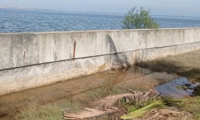 Tanggul di Kawasan Pantai Mutiara Pluit Dibeton, Agar Tidak Bocor