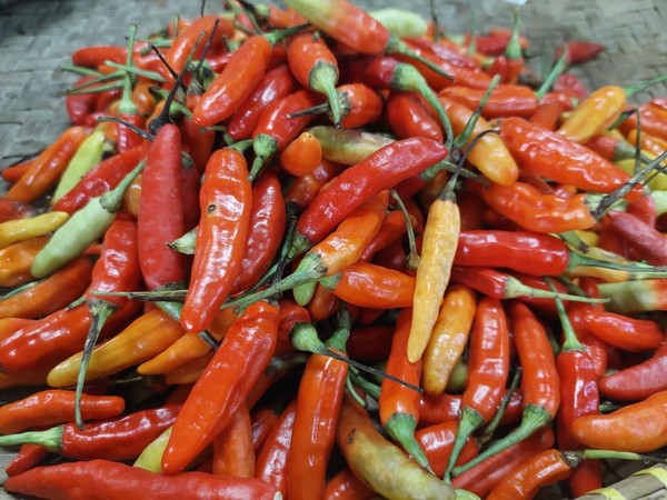 Harga Cabai Rawit Merah Meroket, di Jakarta Tembus Rp 96.250 per Kg