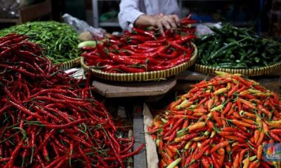 Harga Cabai Rawit Rp70.534/kg dan Bawang Merah Rp46.516/kg