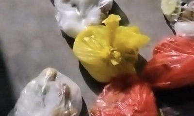 SPPG Pandeglang Jelaskan Video Viral MBG Dikemas Plastik, Tak Sesuai SOP
