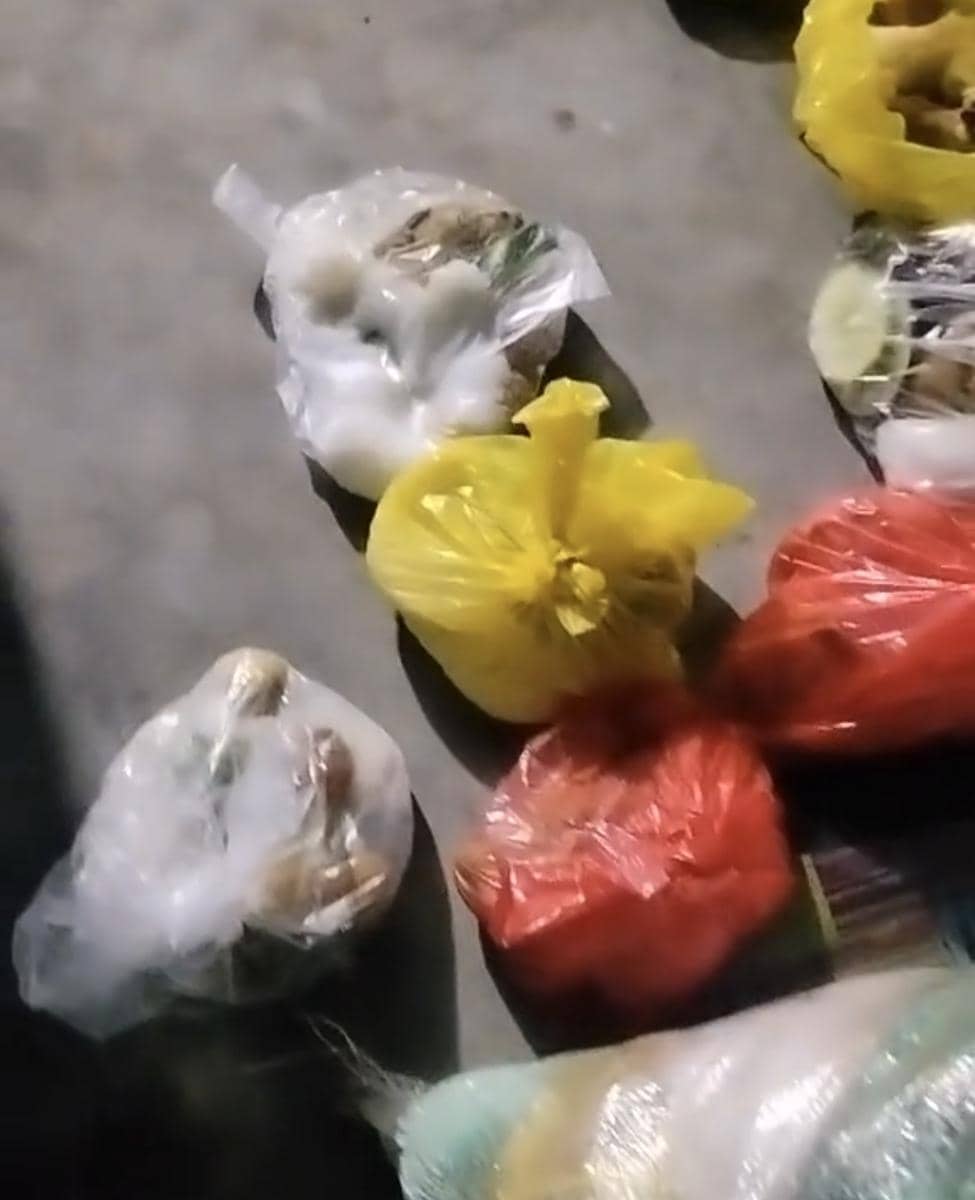 SPPG Pandeglang Jelaskan Video Viral MBG Dikemas Plastik, Tak Sesuai SOP