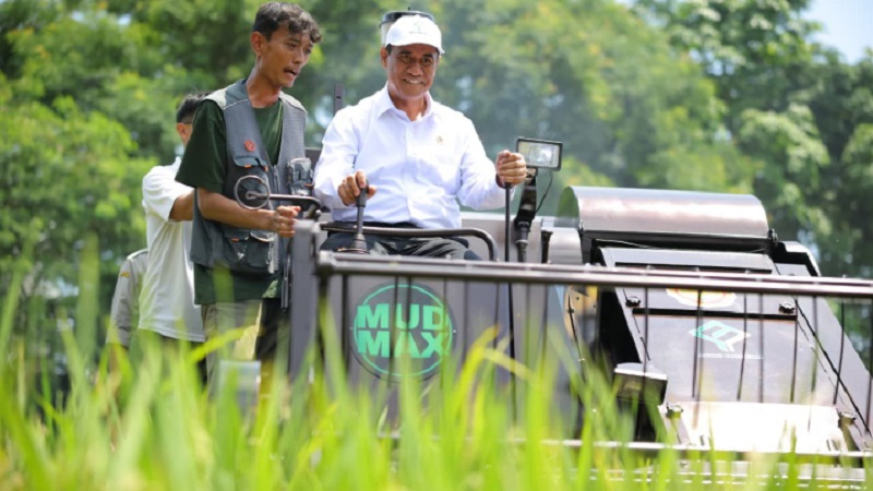 Kementan Bentuk 33 Balai Besar Penerapan Modernisasi Pertanian, Produksi Benih Unggul Mendukung Swasembada Pangan Berkelanjutan