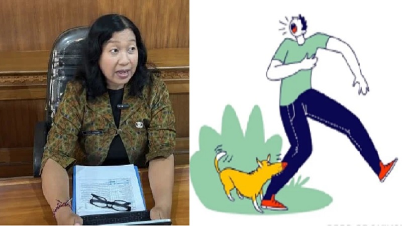 16 Orang Meninggal, Korban karena Rabies di Bali Tahun 2025 Melonjak Dibandingkan 2024