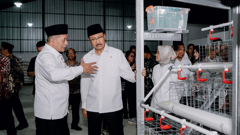 Menteri Sosial (Mensos) Saifullah Yusuf (Gus Ipul) secara simbolis menyerahkan paket pemberdayaan ayam petelur kepada Keluarga Penerima Manfaat (KPM) yang sebelumnya menerima bantuan sosial sembako dan Program Keluarga Harapan (PKH) Kementerian Sosial (Kemensos) di Koperasi Desa Merah Putih Dukuhrejo, Kecamatan Bayan, Kabupaten Purworejo, Sabtu (14/2/2026). (Kemensos)