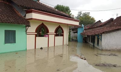 Badan Nasional Penanggulangan Bencana Catat 28 Bencana dalam 24 Jam Terakhir