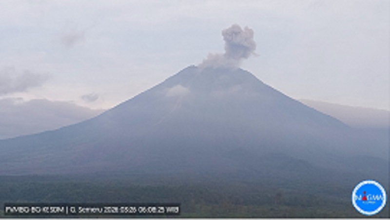 Gunung Semeru Terjadi erupsi Kamis (26/3/2026), pukul 06.05 WIB, dengan tinggi kolom letusan teramati ± 500 m di atas puncak (± 4176 m di atas permukaan laut). (Magma Indonesia)