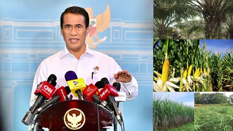 Menteri Pertanian (Mentan), Andi Amran Sulaiman, komoditas strategis seperti kelapa sawit, tebu, jagung, dan singkong kini diarahkan menjadi tulang punggung pengembangan biofuel, baik biodiesel maupun bioetanol. (Ist)