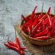 manfaat konsumsi makanan pedas
