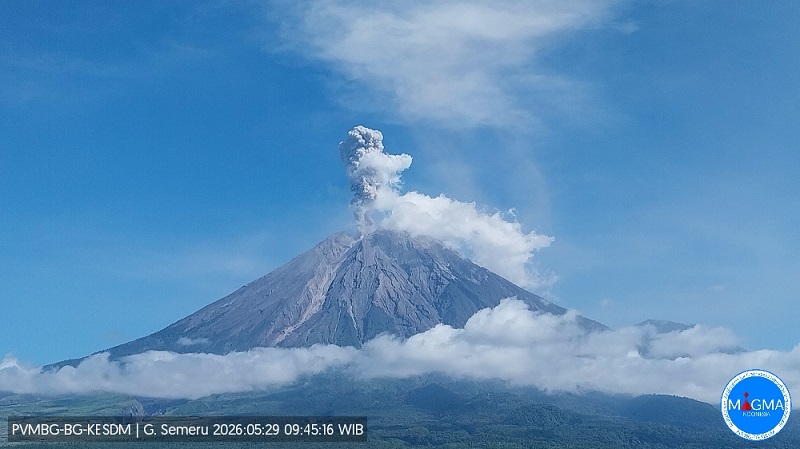 Gunung Semeru Erupsi dengan Kolom Abu Berwarna Putih Setinggi 1 Km