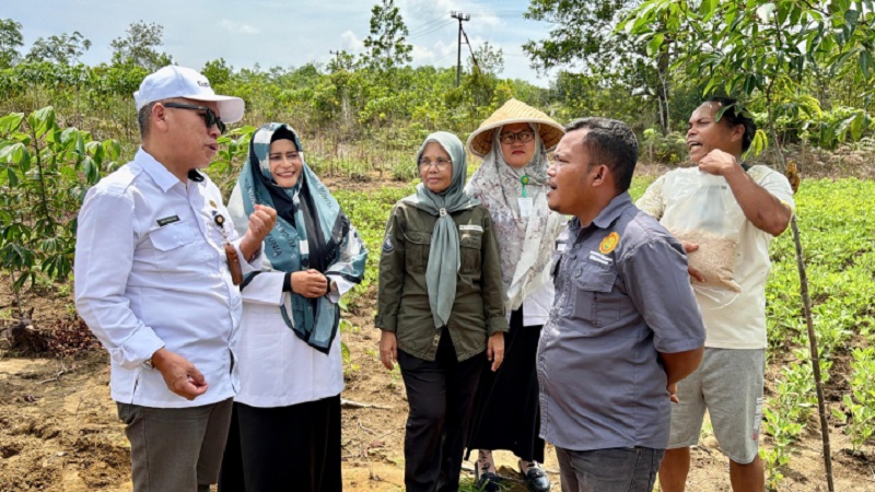 Kementerian Pertanian (Kementan) terus memperkuat pengawalan program dan bantuan pertanian di seluruh Indonesia melalui Badan Perakitan dan Modernisasi Pertanian (BRMP) yang menjalankan fungsi koordinasi wilayah di 38 provinsi. 