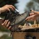 Cara Merawat Sepatu Gunung