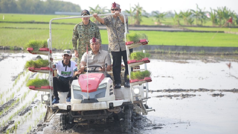 Wakil Menteri Pertanian (Wamentan) Sudaryono mengakselerasi Gerakan Tanam (Gertam) padi seluas 750 hektar di Kabupaten Lamongan, Jawa Timur, sebagai upaya memperkuat produksi beras nasional dan menjaga momentum peningkatan luas tanam di salah satu lumbung pangan utama Indonesia.