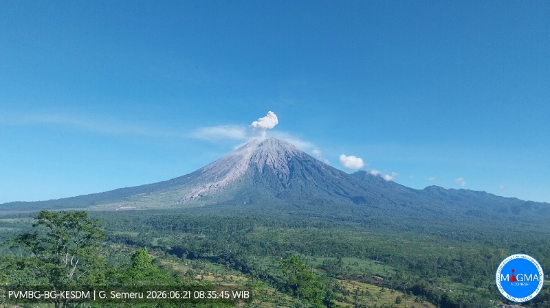 Gunung Semeru di Kabpuaten Lumajang dan Kabupaten Malang tercatat erupsi dua kali hingga Minggu (21/6/2026) siang dengan tinggi kolom abu 700 dan 500 meter. (Magma Indonesia)