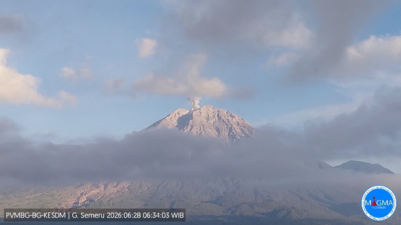 Visual erupsi Gunung Semeru yang teramati Minggu (28/6/2026) pukul 06.32 dengan tinggi kolom abu ± 500 m di atas puncak.  (Magma Indonesia) 