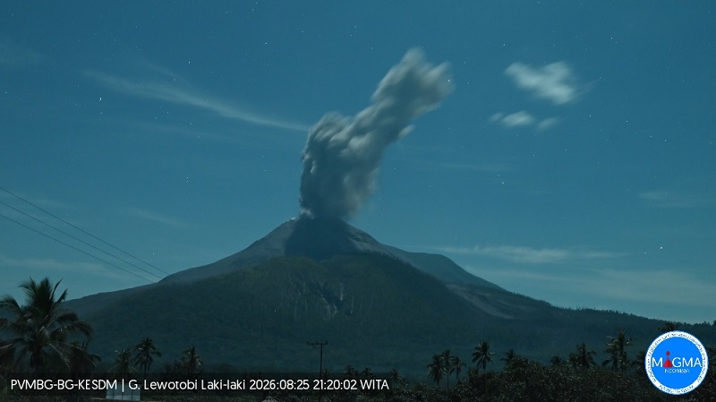 Erupsi ketiga Gunung Lewotobi Laki-laki di Flores, Nusa Tenggara Timur (NTT), hari Selasa (25/8/2026), pukul 20.19 WIB, meluncurkan kolom abu setinggi 1.200 m. (Foto: Magma Indonesia)